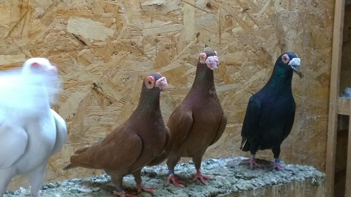 WP_20150719_17_55_54_Raw