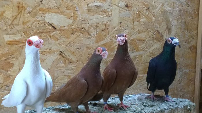 WP_20150719_17_55_59_Raw