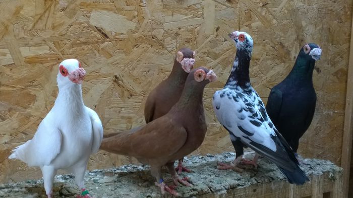 WP_20150719_17_56_05_Raw