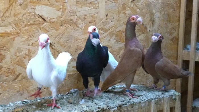 WP_20150719_17_57_11_Raw