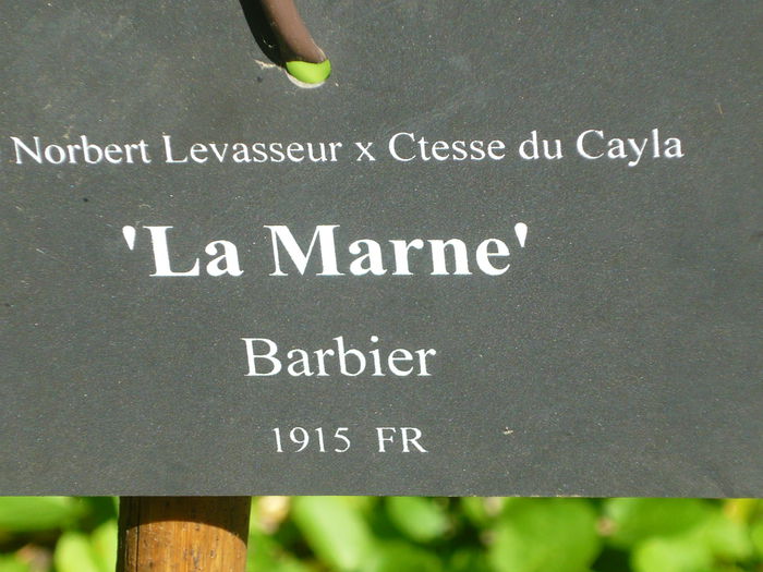 P1060218 - La Bonne Maison