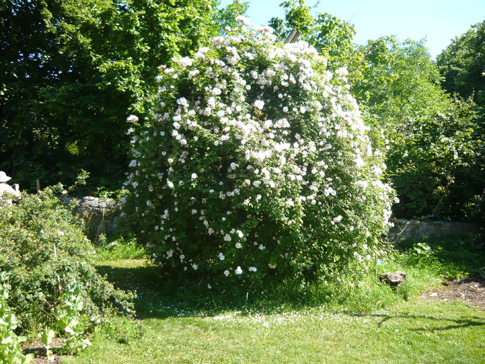 P1060256