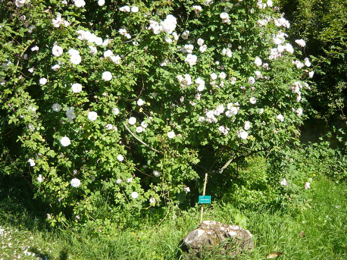 P1060257