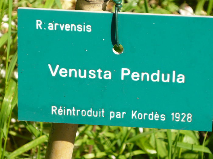 P1060259