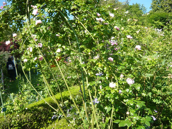 P1060273 - La Bonne Maison