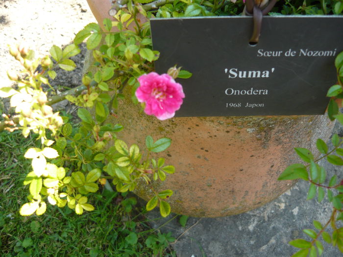 P1060340 - La Bonne Maison