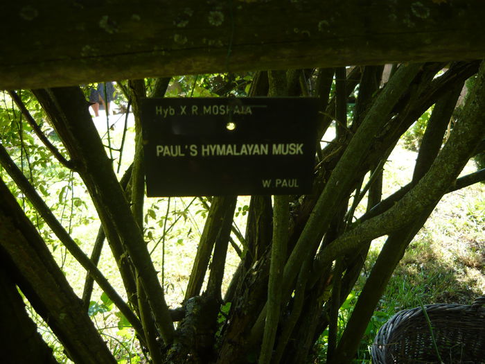 P1060350 - La Bonne Maison