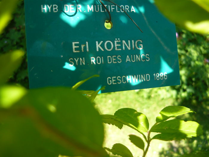 P1060354 - La Bonne Maison