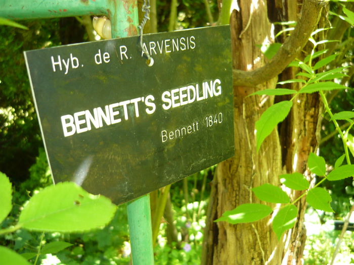 P1060364 - La Bonne Maison