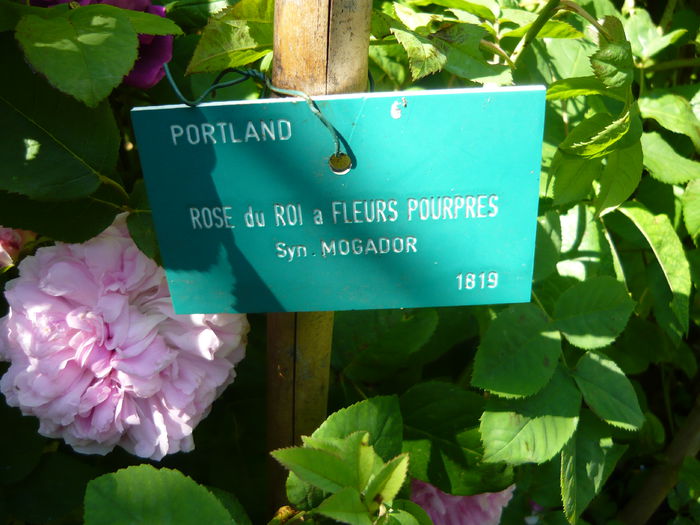 P1060371 - La Bonne Maison