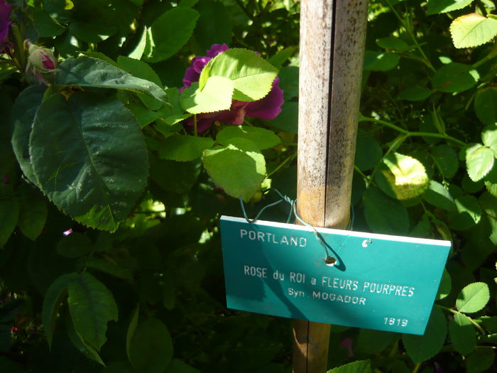 P1060373 - La Bonne Maison