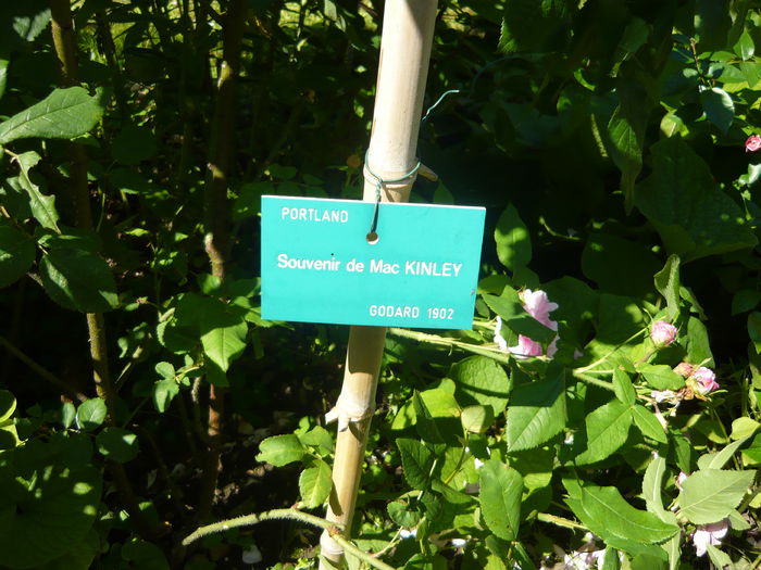 P1060375 - La Bonne Maison