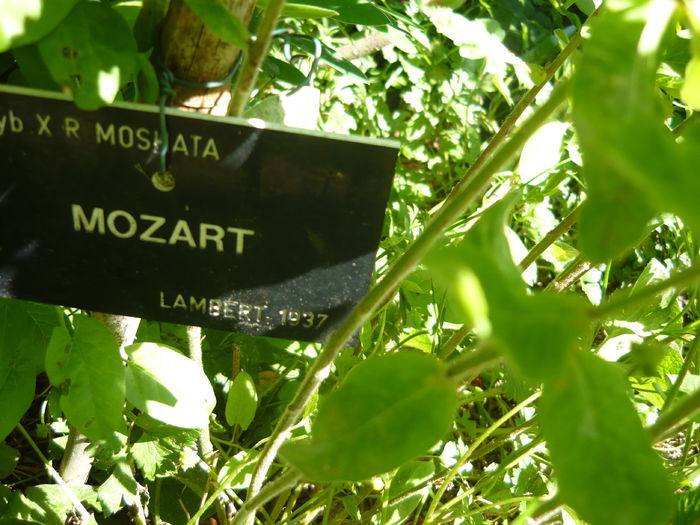 P1060384 - La Bonne Maison