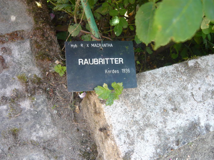 P1060397 - La Bonne Maison