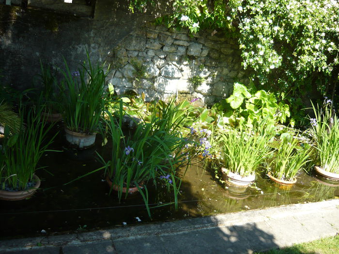 P1060403 - La Bonne Maison