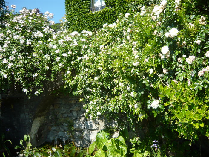 P1060407 - La Bonne Maison