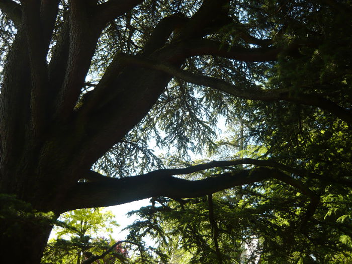 P1060414 - La Bonne Maison