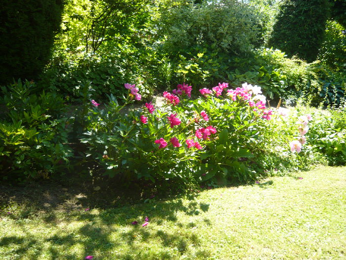 P1060415 - La Bonne Maison