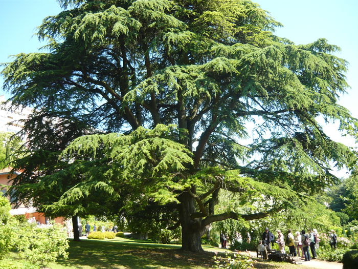 P1060419 - La Bonne Maison