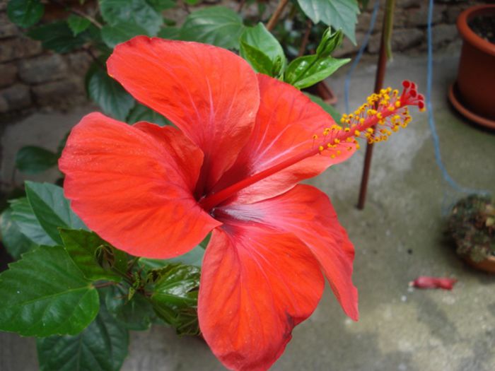 iulie in exterior (4)