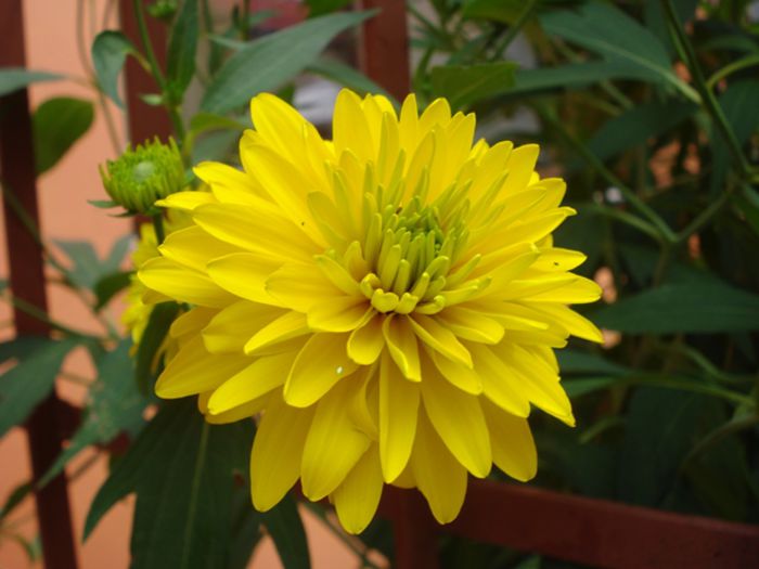 iulie in exterior (24)