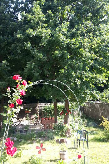 20150607_092113-1 - 2_VARA