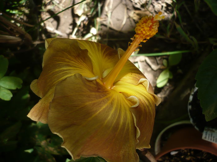 P1230178