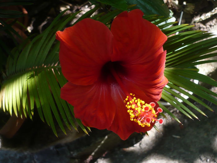 P1230192
