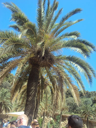 DSC02007 - Concediu Barcelona