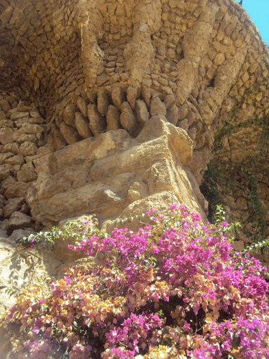 DSC02016 - Concediu Barcelona