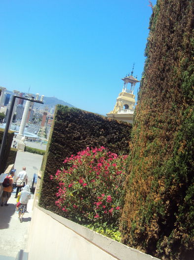 DSC02039 - Concediu Barcelona