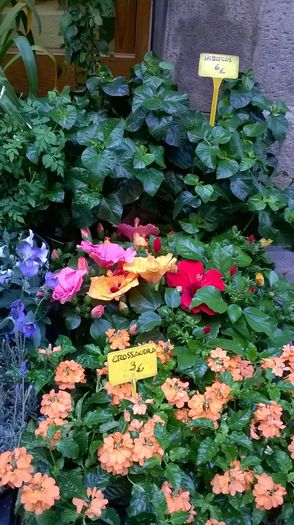 WP_20150706_044 - Concediu Barcelona