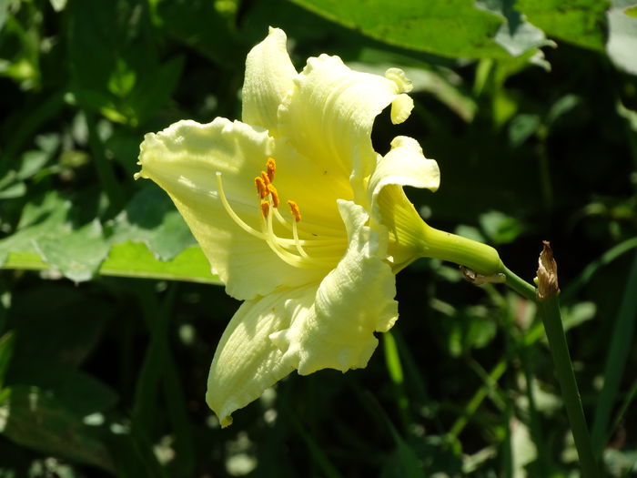 17.07.2015 - f-vara 2015