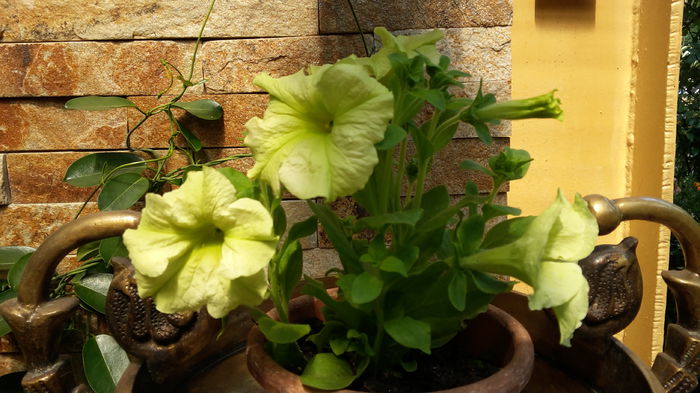 20150720_113039
