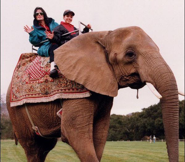 362 DAY - #MichaelJackson - @O8.O5