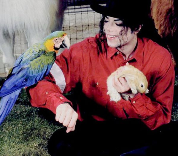 38O DAY - #MichaelJackson - @26.O5