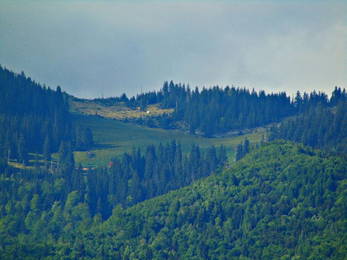 DSC07956 - Poze natura