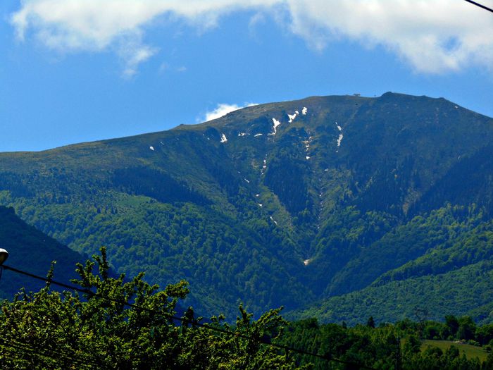 DSC07966 - Poze natura