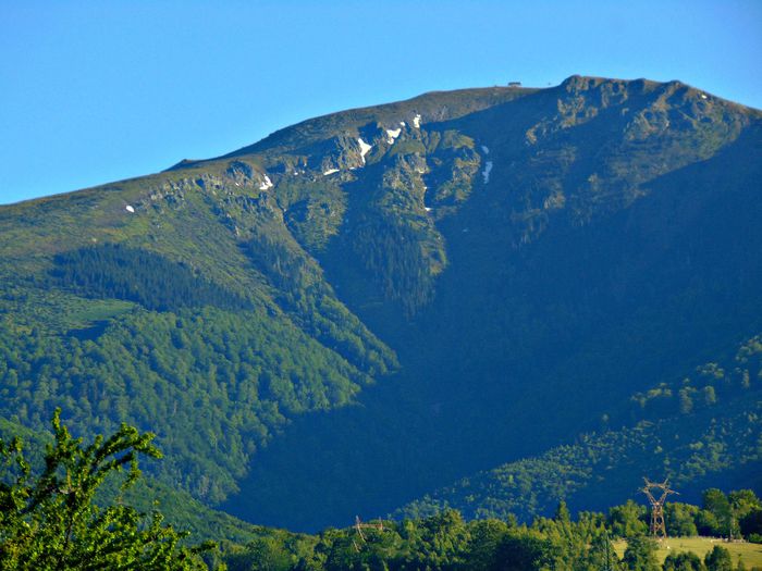 DSC08000 - Poze natura