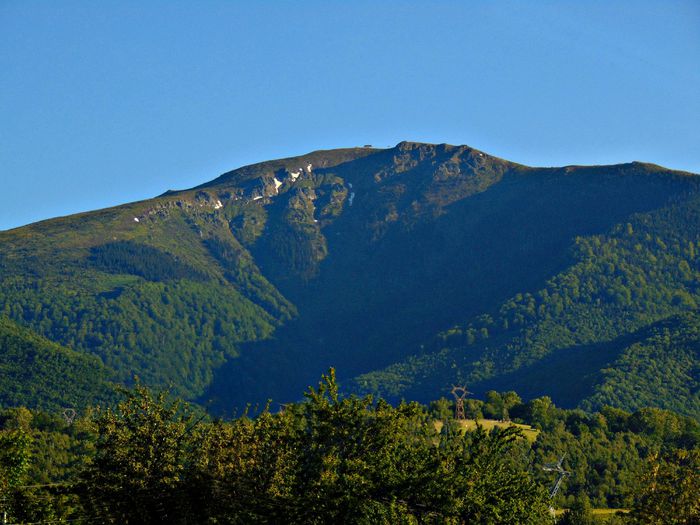 DSC08001 - Poze natura