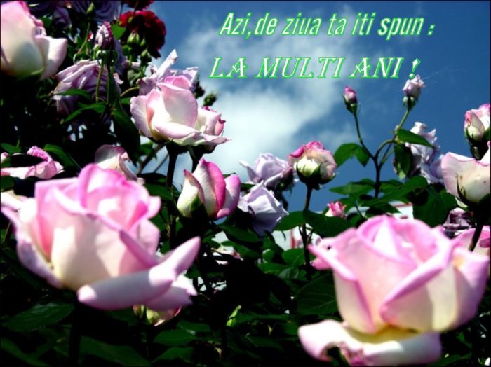 La multi ani!