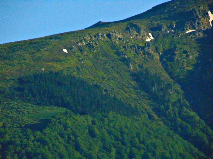 DSC08004 - Poze natura
