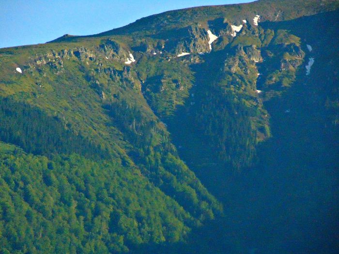 DSC08006 - Poze natura