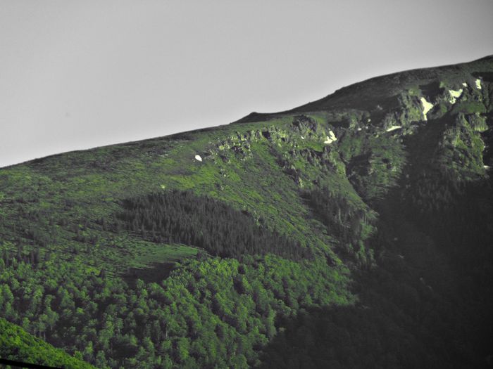 DSC08036