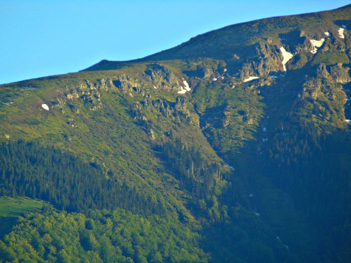 DSC08041 - Poze natura