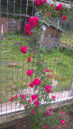 WP_20150722_13_39_36_Pro