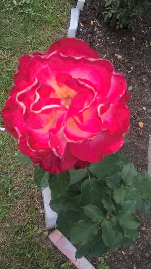 WP_20150722_13_40_36_Pro