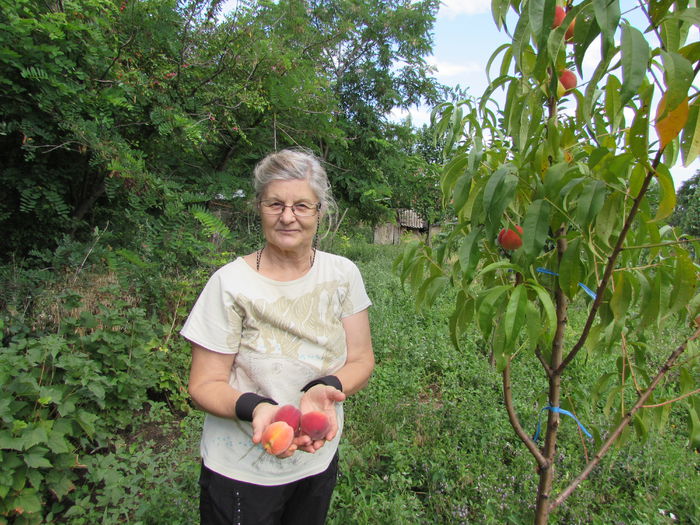 mama-i incantata de rodul muncii ei - 2015 gradina de la tara