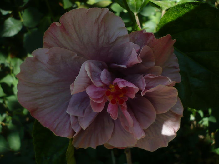 P1230231