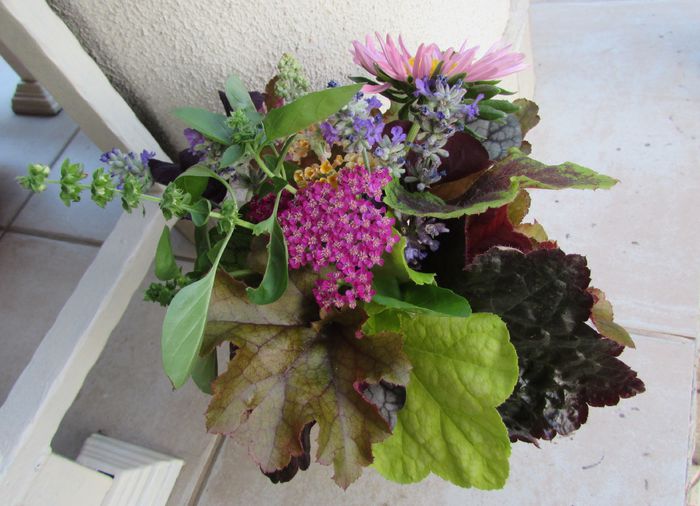 un buchetel din florile gradinii :))) - 2015 plantele mele - II